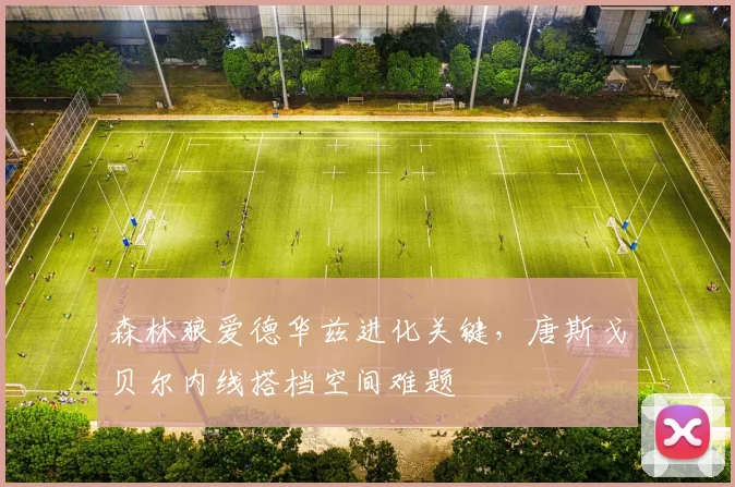 森林狼爱德华兹进化关键，唐斯戈贝尔内线搭档空间难题